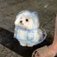 みいのプロフィール画像