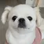 えりかのプロフィール画像