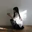 きつねのプロフィール画像