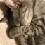 みかんのプロフィール画像