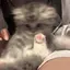 ゆのプロフィール画像