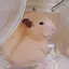 やなぎのプロフィール画像