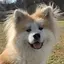 ナオのプロフィール画像
