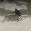 悠馬のプロフィール画像