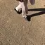 maruのプロフィール画像