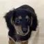 ちゃーみーのプロフィール画像