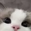 sのプロフィール画像
