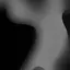 茜音のプロフィール画像