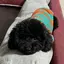 とまとのプロフィール画像