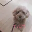 麻実のプロフィール画像