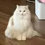 美紀のプロフィール画像