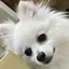 綾美のプロフィール画像