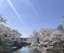 k.sのプロフィール画像