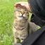 ジェニーのプロフィール画像