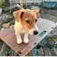 あきのプロフィール画像