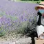 YUのプロフィール画像