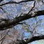 Y Uのプロフィール画像
