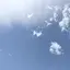 催花雨のプロフィール画像