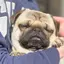 ちゃそのプロフィール画像