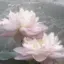 ひのプロフィール画像