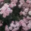maのプロフィール画像