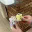 ちゃべのプロフィール画像