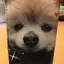 みゅうのプロフィール画像