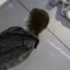 みさきのプロフィール画像