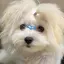 奈のプロフィール画像