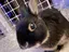 ひとみのプロフィール画像