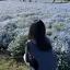 きむのプロフィール画像