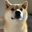 ごーちゃんのプロフィール画像