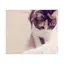 ねーさんのプロフィール画像