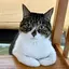 ももかのプロフィール画像