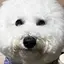 うぉぬしゃんのプロフィール画像
