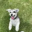 Aのプロフィール画像