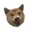 mariaのプロフィール画像