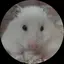nanaのプロフィール画像