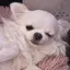にのプロフィール画像
