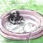 ハルのプロフィール画像