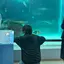 泰生のプロフィール画像