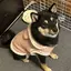 hamiのプロフィール画像