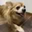 こさんのプロフィール画像