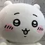 たわしのプロフィール画像