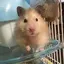 sionのプロフィール画像