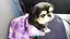 ma-san0902のプロフィール画像