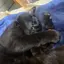 裕晃のプロフィール画像