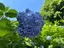 あーぷのプロフィール画像