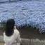 りいなのプロフィール画像