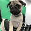 くにのプロフィール画像